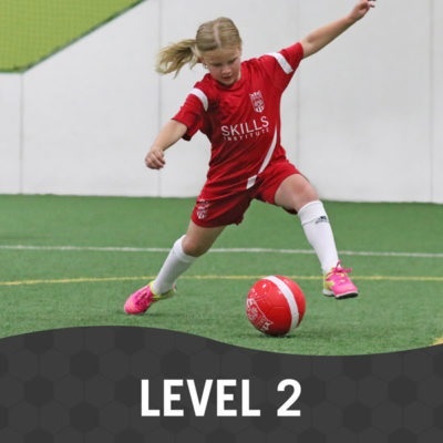 Skills Institute Level 2